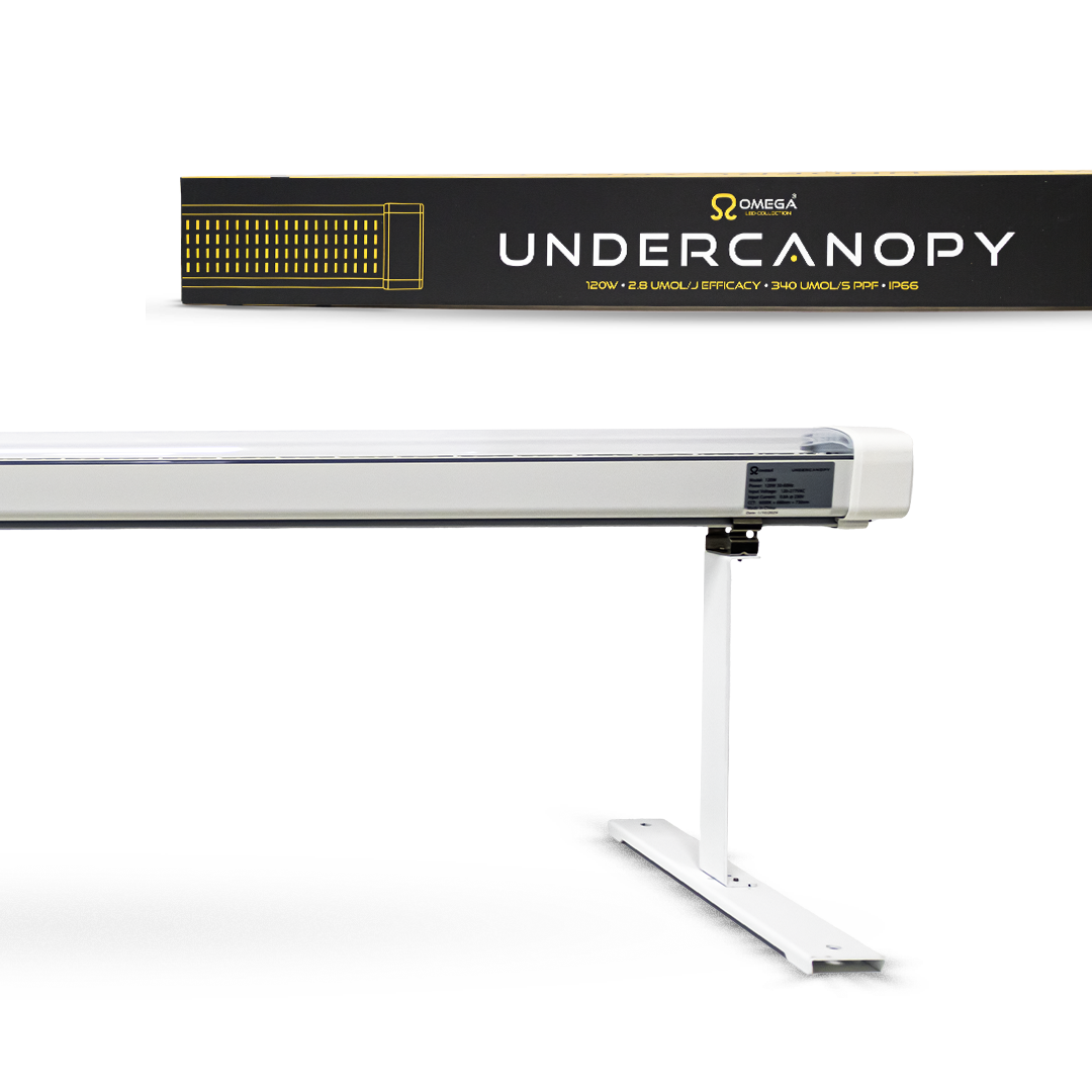 Omega 120W Under Canopy LED