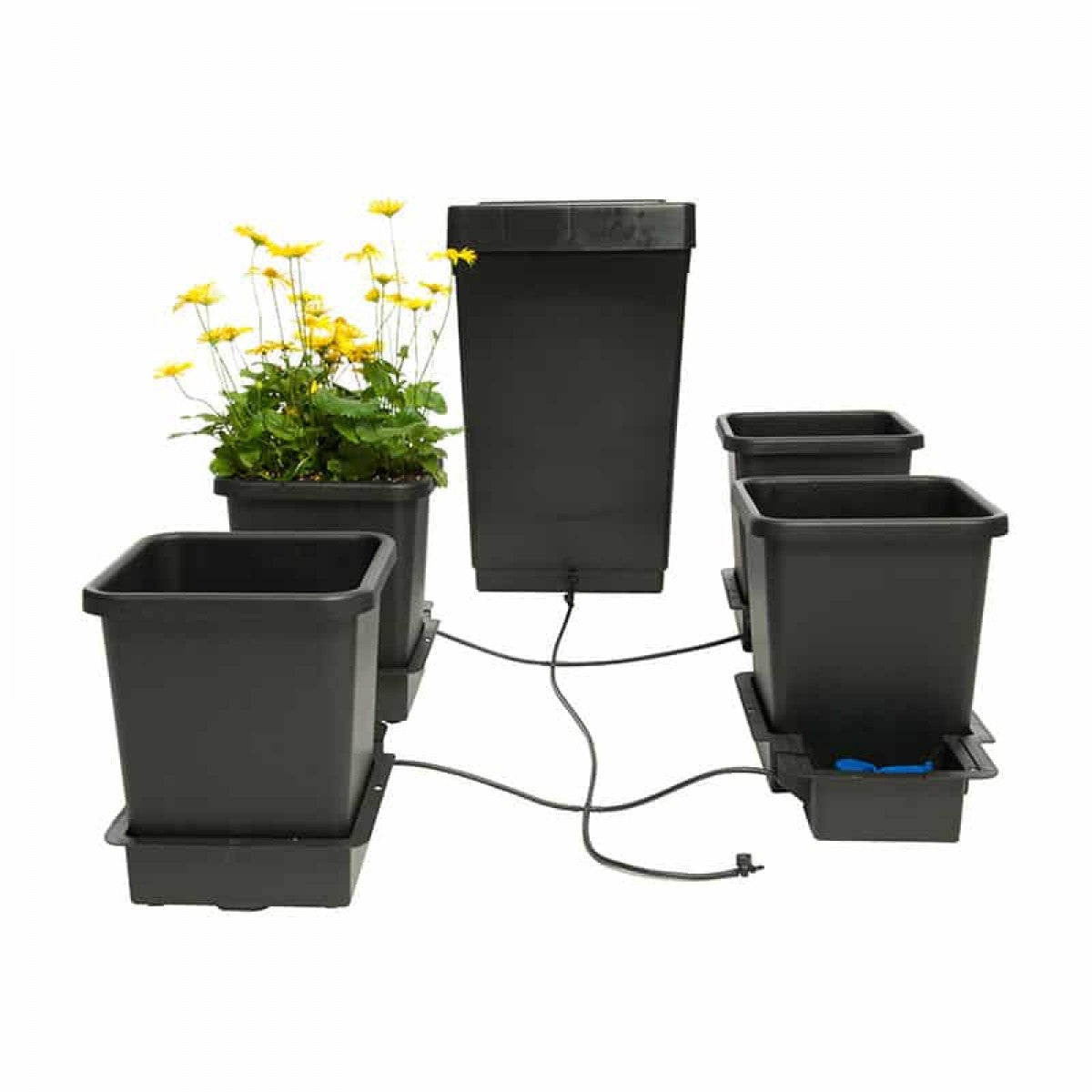 AutoPot System