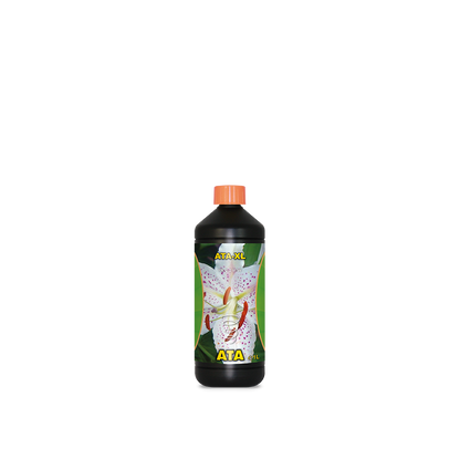 Atami ATA XL — 1L