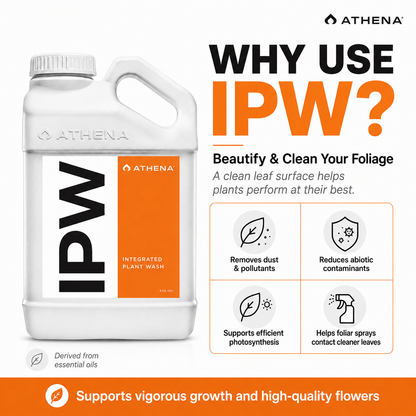 Athena IPW