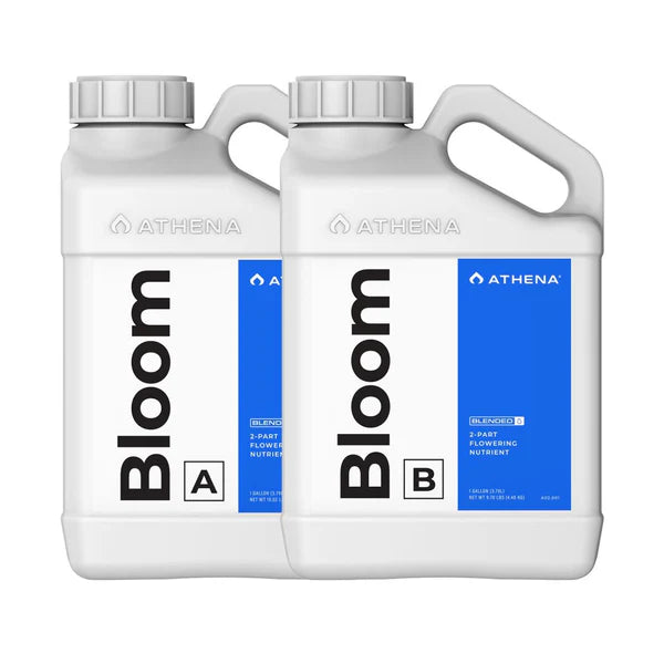 Athena Bloom - Blended Line