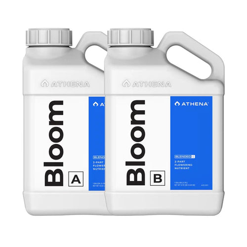 Athena Bloom - Blended Line