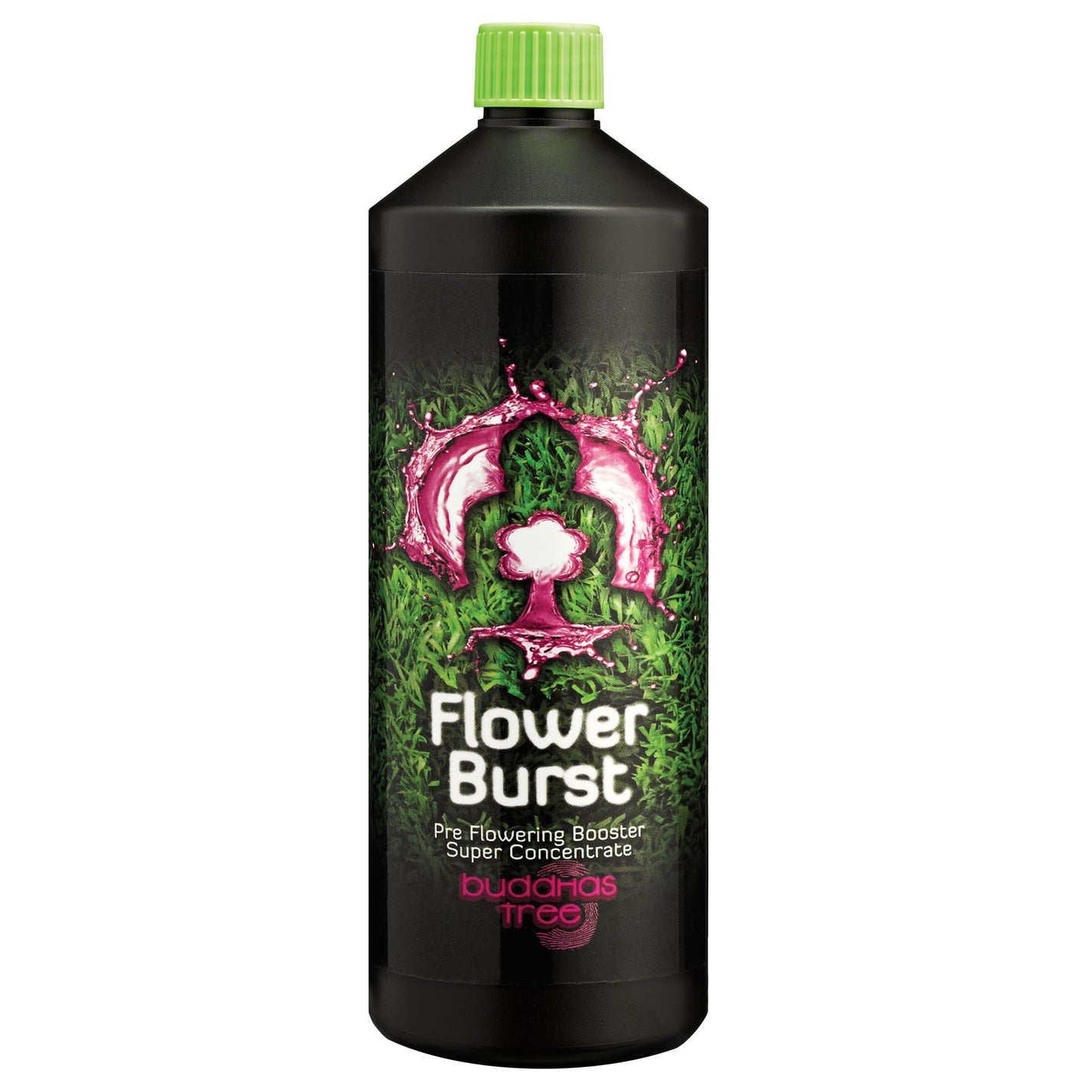 Buddhas Tree Flower Burst
