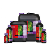 Atami B'Cuzz Coco Nutrition A&B