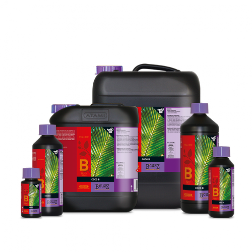 Atami B'Cuzz Coco Nutrition A&B