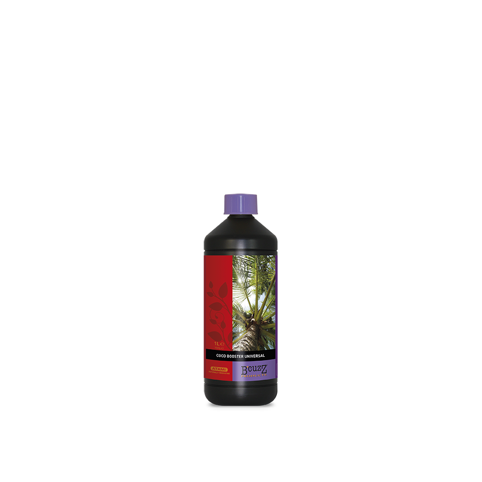Atami Coco Booster