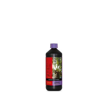 Atami Coco Booster