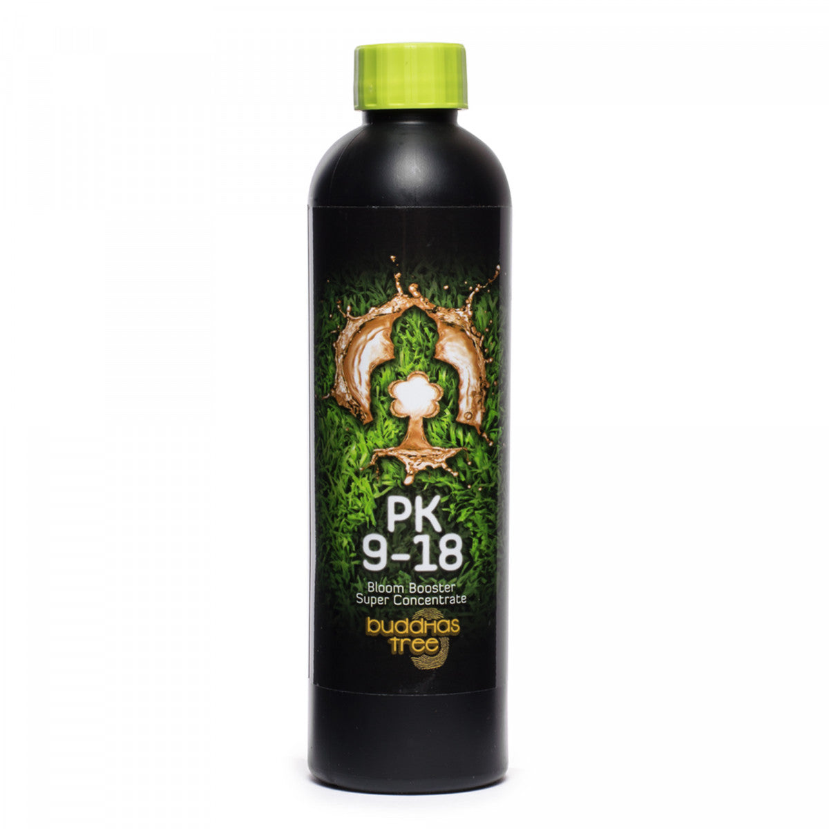 Buddhas Tree 9-18