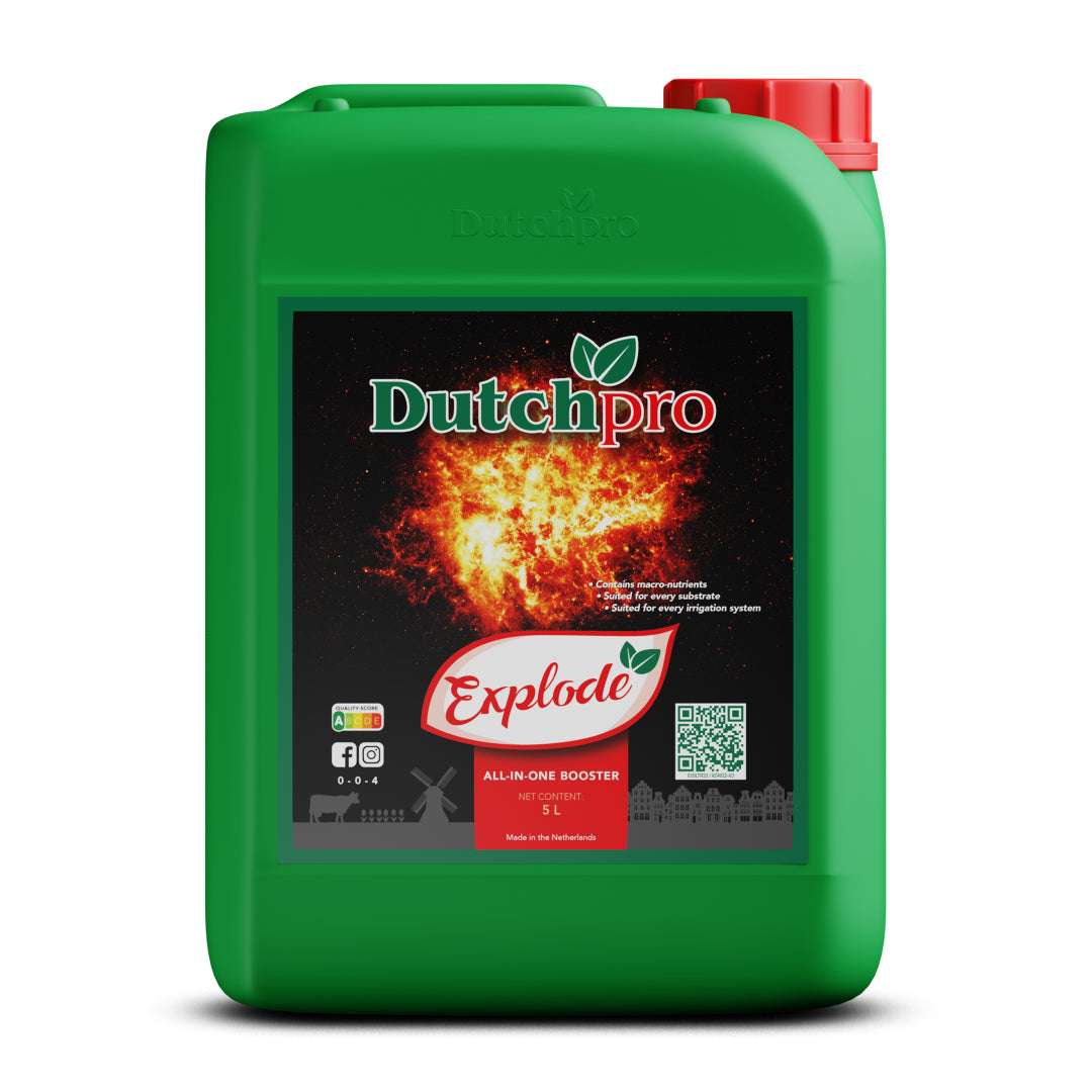 Dutch Pro Explode