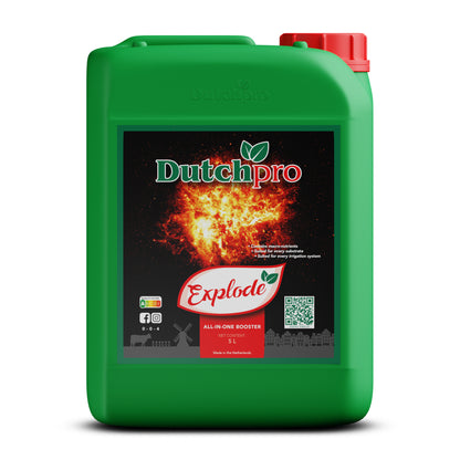 Dutch Pro Explode