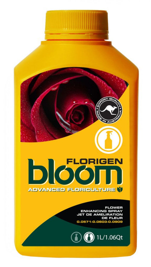 Bloom - Florigen