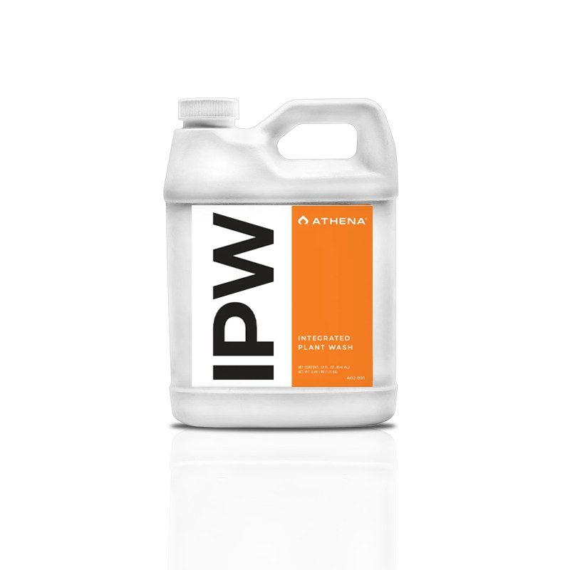 Athena IPW