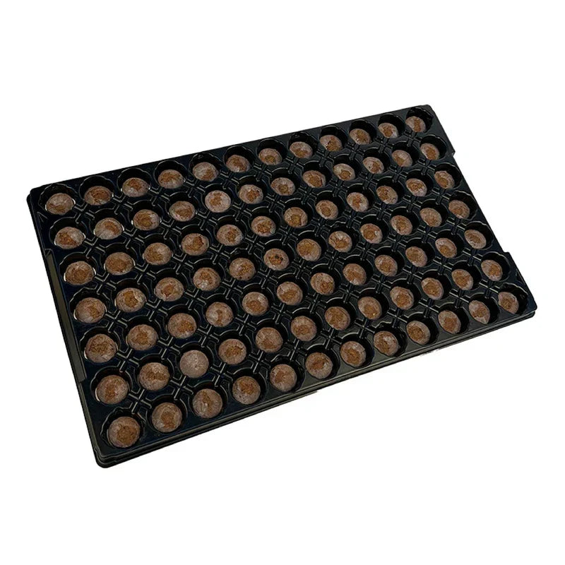 Jiffy 7 84 Hole Plastic Tray for Seeds & Cuttings