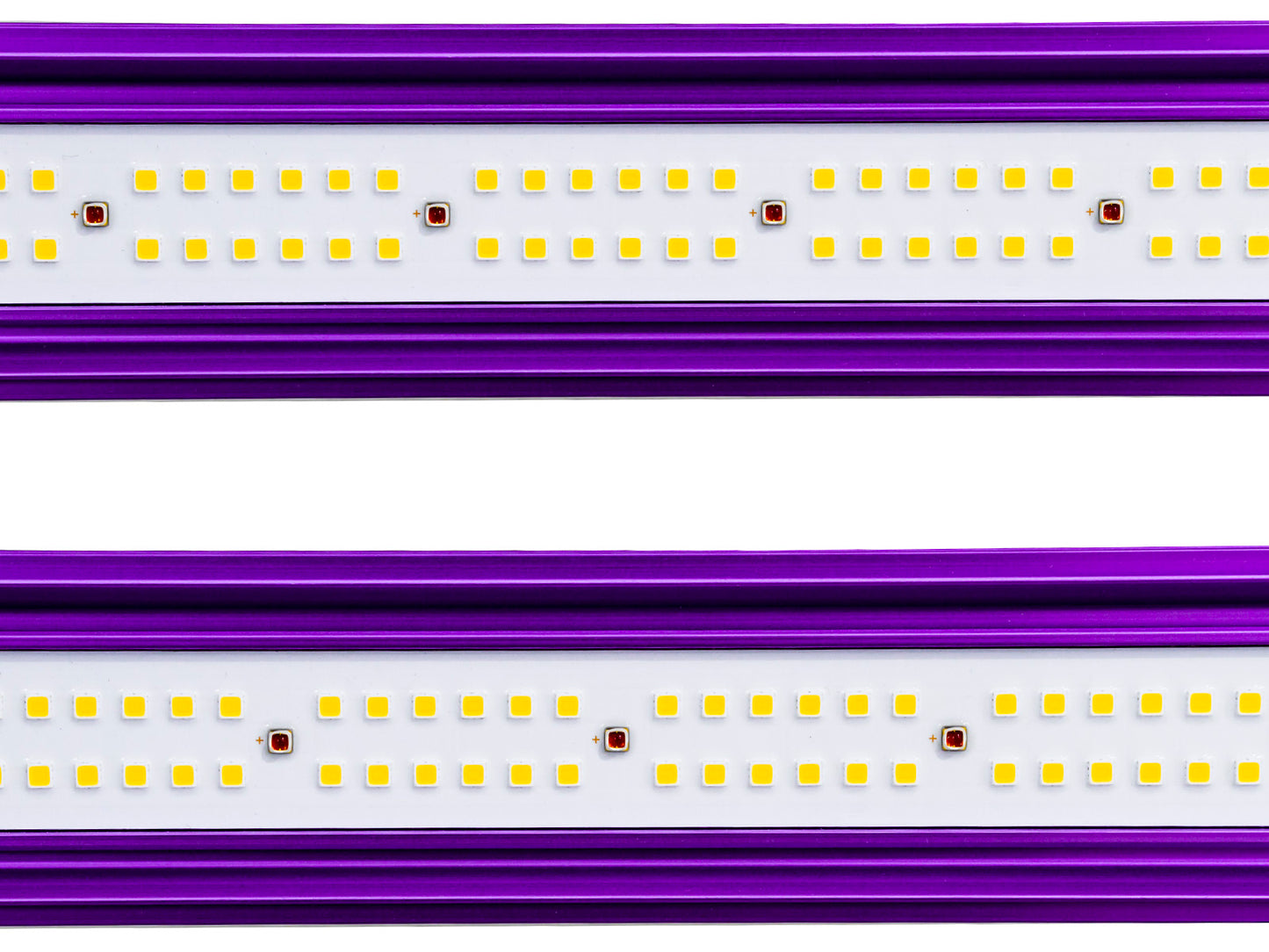Lumatek Zeus 1000w LED