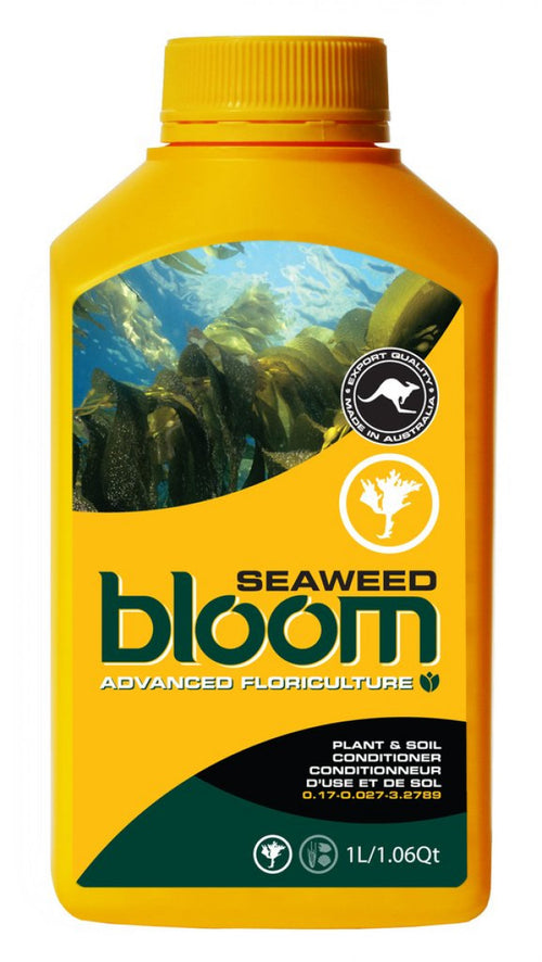 Bloom - Seaweed