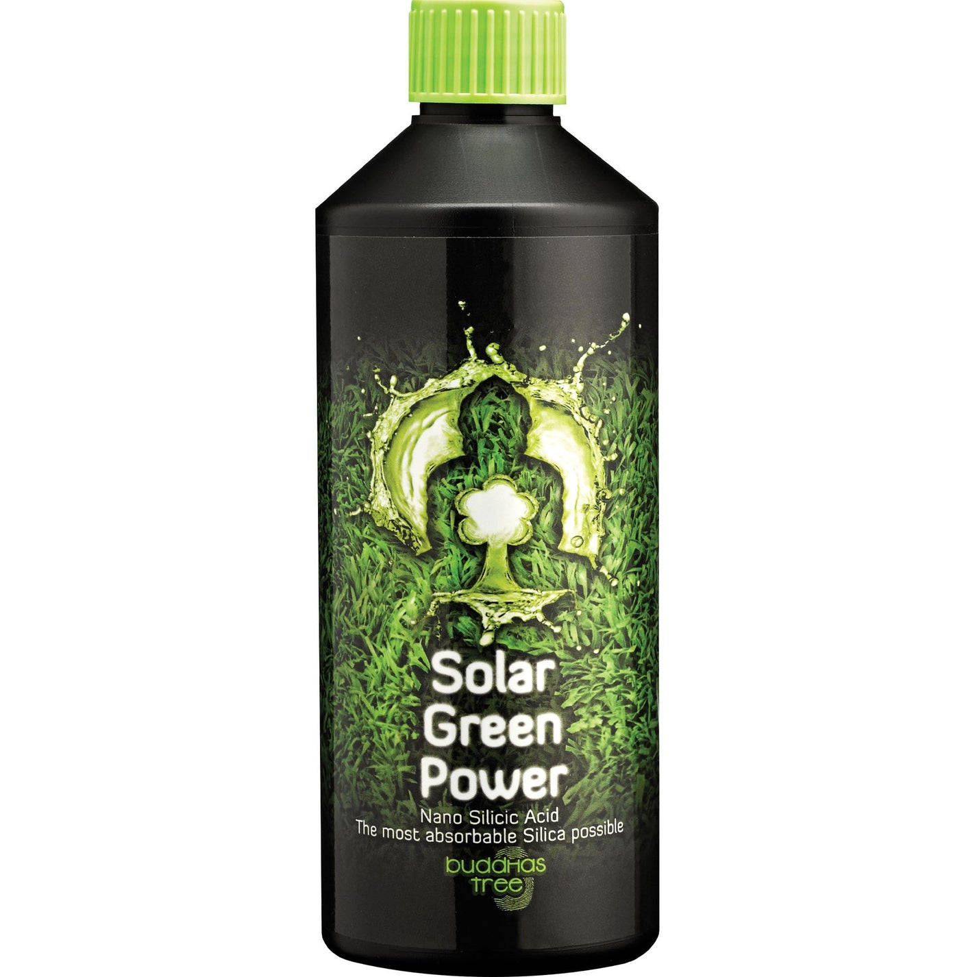 Buddhas Tree Solar Green Power