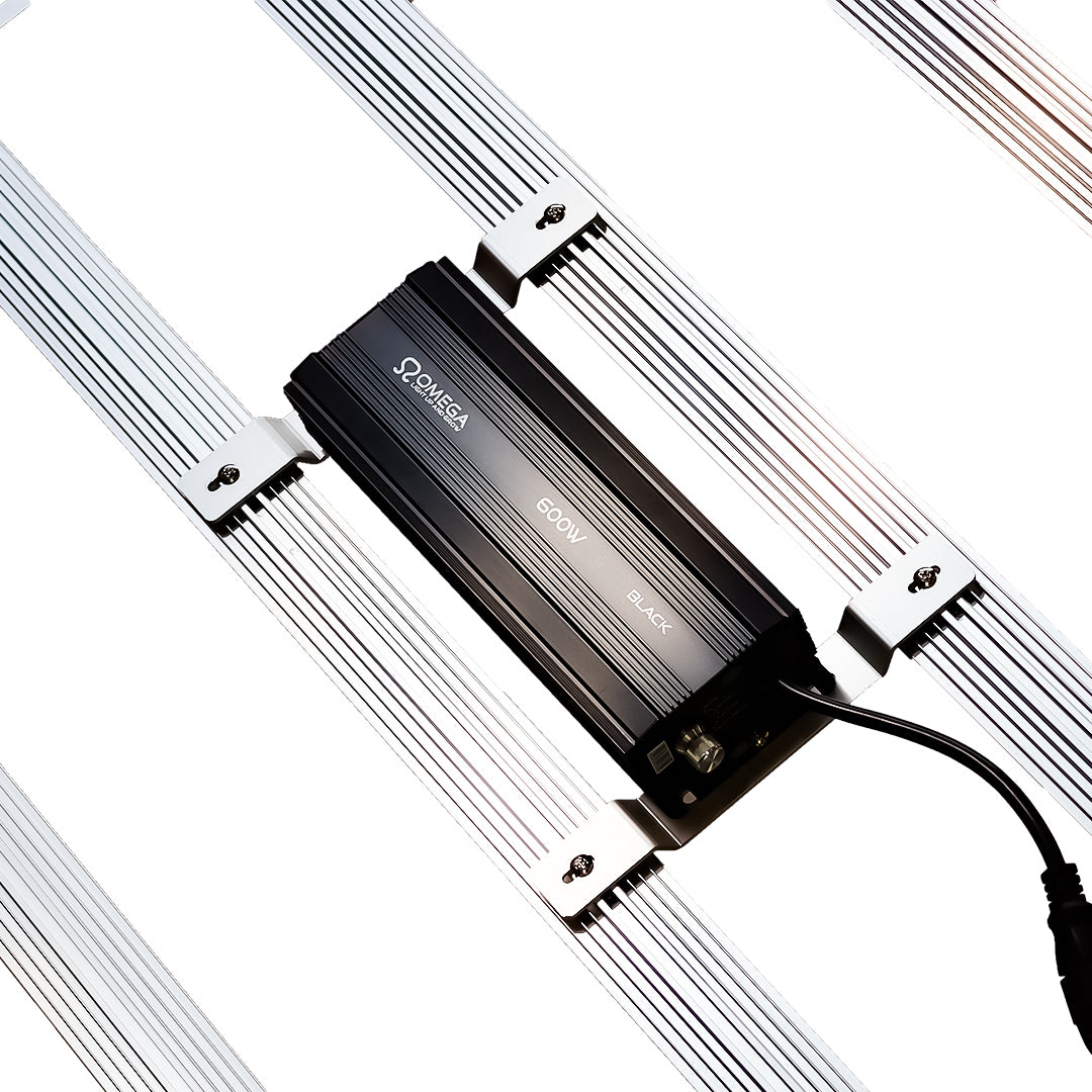 Omega Black 720w LED Light
