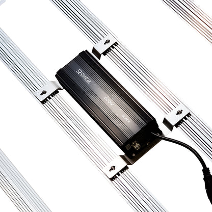 Omega 720w LED Light