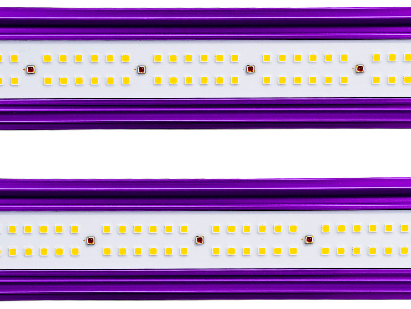 Lumatek Zeus Pro 465w LED