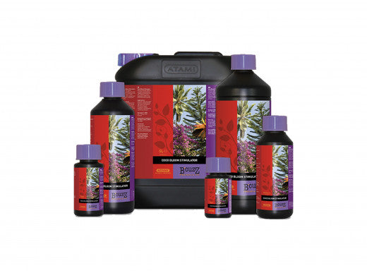 Atami Coco Booster