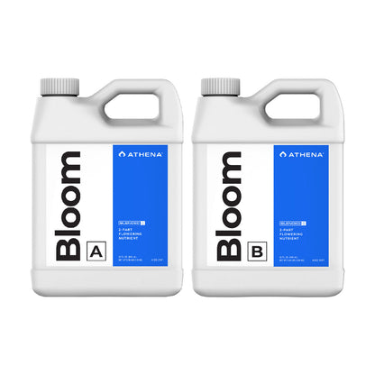 Athena Bloom - Blended Line — 0.94L
