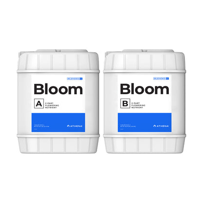 Athena Bloom - Blended Line — 18.92L