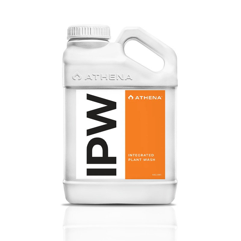 Athena IPW