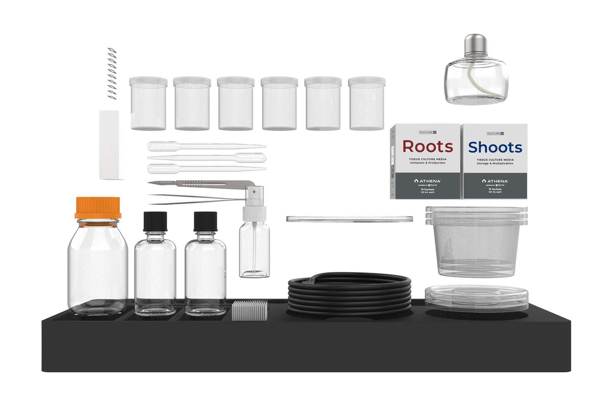 Athena Tissue Culture Kit what's included – vessels, Roots and Shoots media, bottles, pipettes, scalpel, forceps and alcohol burner