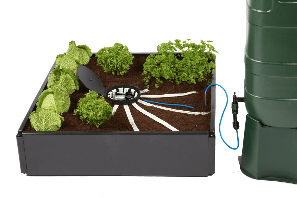 AutoPot AQUAbox Spyder — raised bed set-up