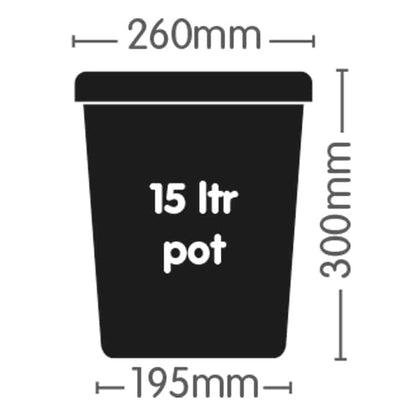 AutoPot easy2grow System 15 litre pot dimensions - 260 mm top, 195 mm base, 300 mm high