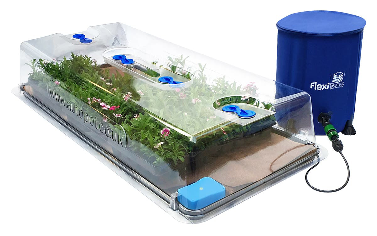 AutoPot easy2Propagate Complete Kit with young plants under the lid