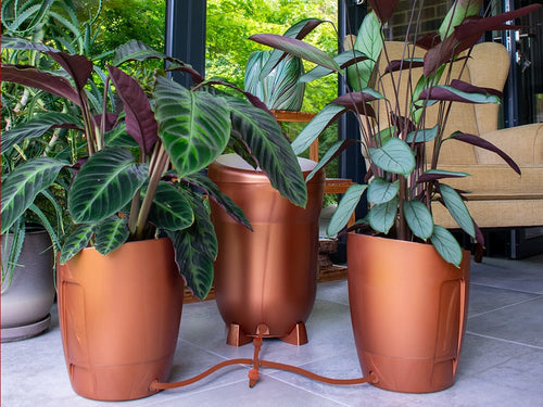 AutoPot Khloris Watering System — Copper