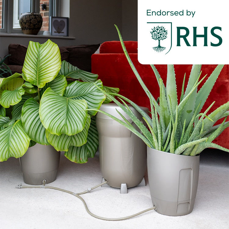 AutoPot Khloris Watering System — Metallic Sage