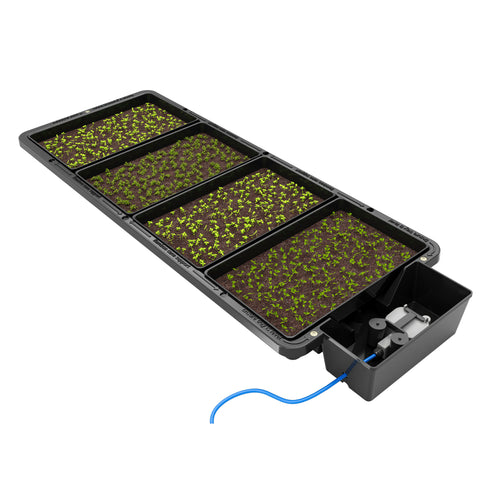 AutoPot Tray2Grow with four seed trays on capillary matting