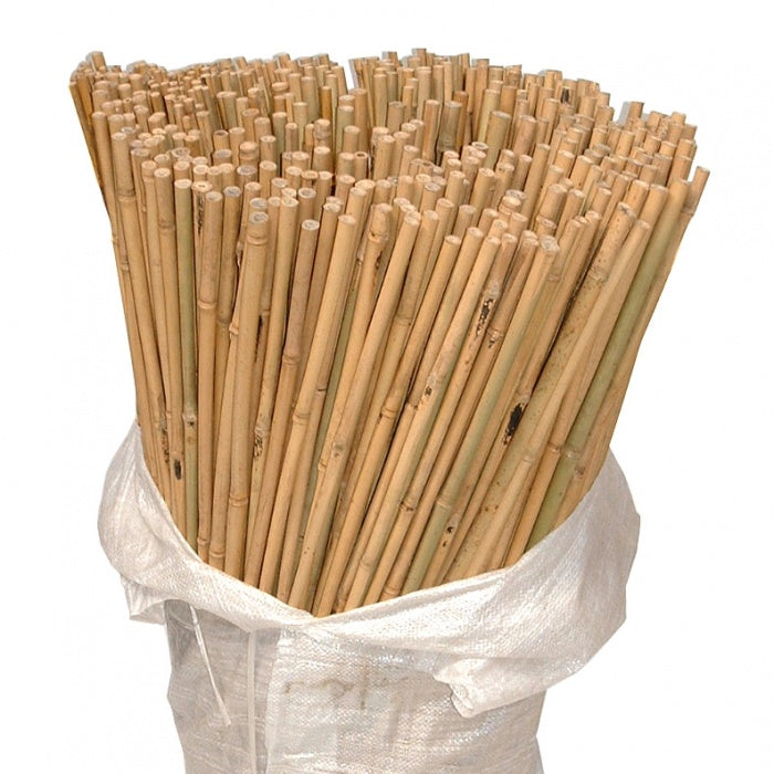Plant Support