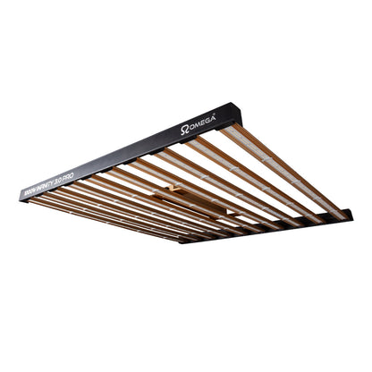 BAY6 2 x 3 x 2m Omega 1000W 3.0 Infinity LED Kit
