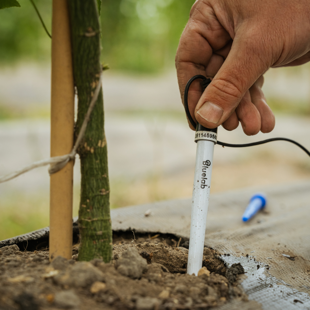 Bluelab Leap soil pH probe supplied with the Combo Meter Plus