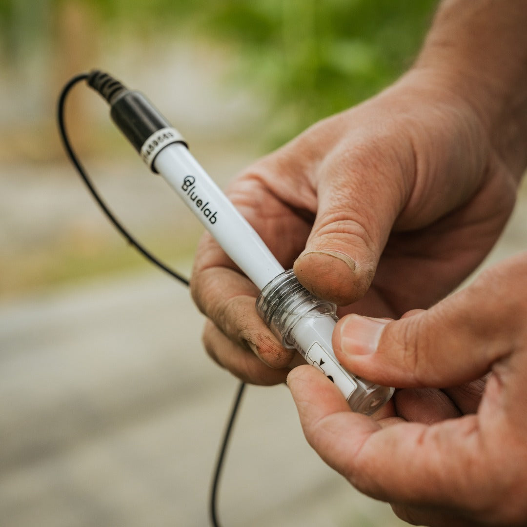 Bluelab Leap pH Probe with its KCl storage cap being removed