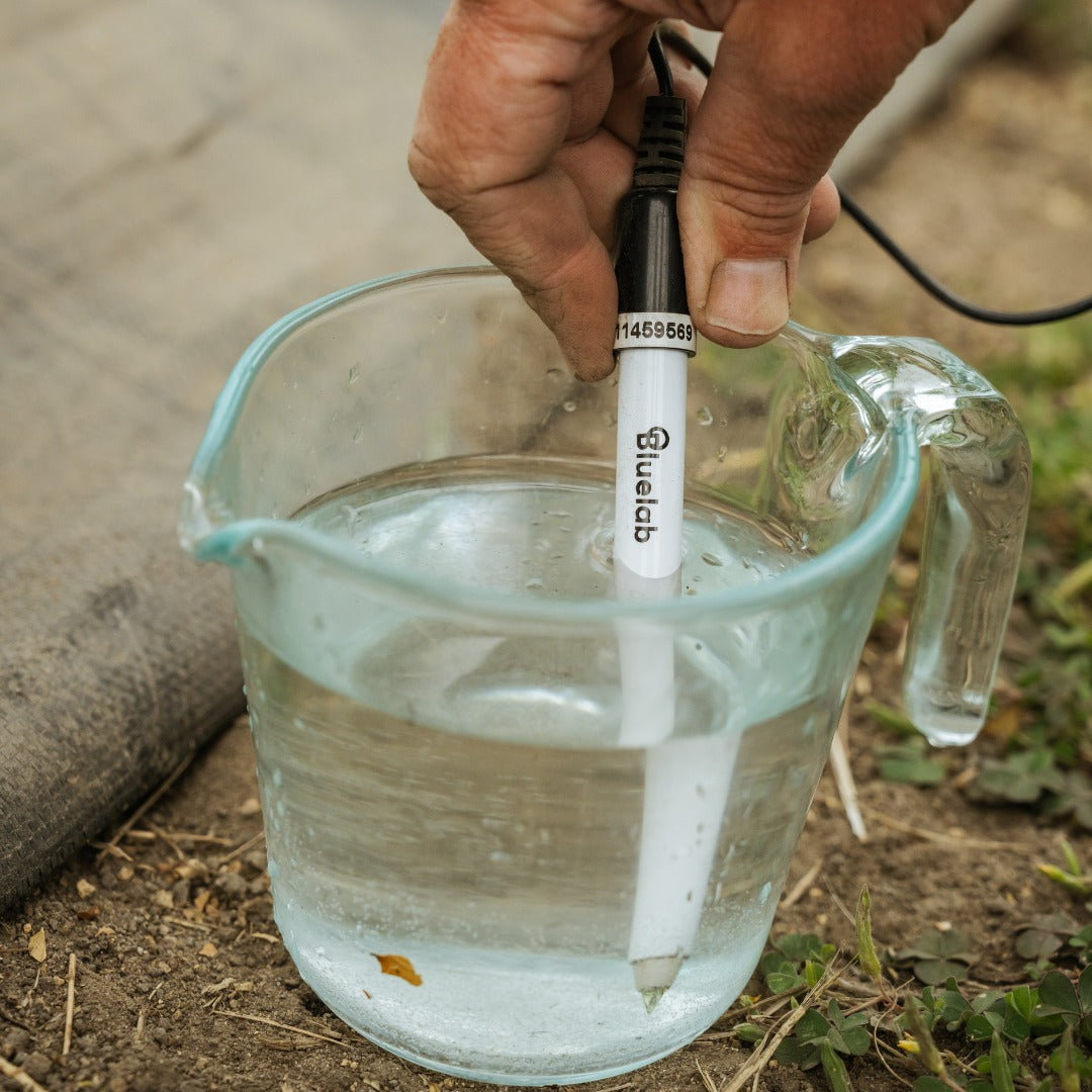 Bluelab Leap pH Probe measuring nutrient solution in a jug
