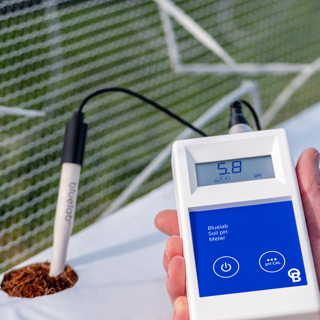Bluelab Multimedia pH Meter display showing a pH reading