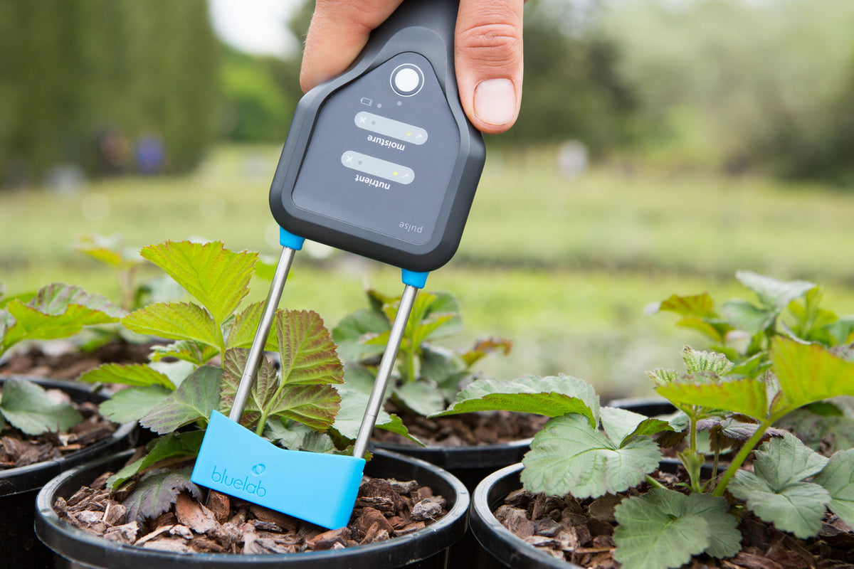 Bluelab Pulse Multimedia EC/MC Meter probes inserted into soil