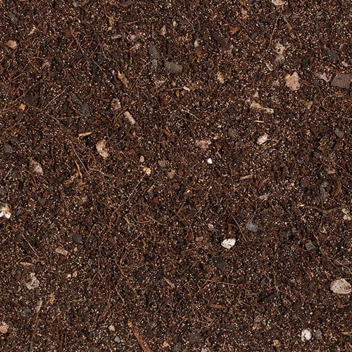 Growth Technology Bonsai Focus Repotting Mix