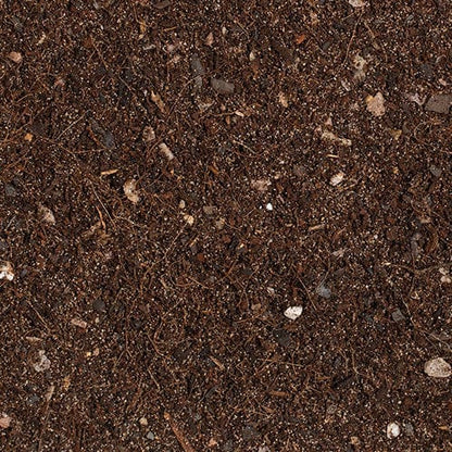Growth Technology Bonsai Focus Repotting Mix