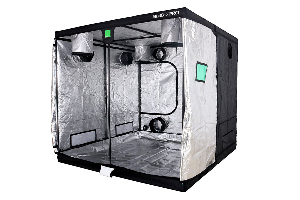 BudBox Pro Tent 240x240x220cm — Silver