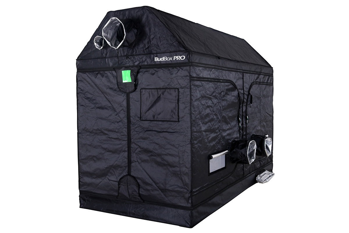 BudBox Pro XXL-R Tent 120x240x180cm closed, showing the pitched roof, gable ports and front doors