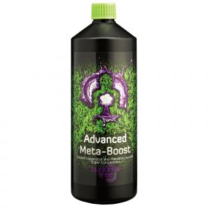 Buddhas Tree Advanced Meta-Boost — 1L