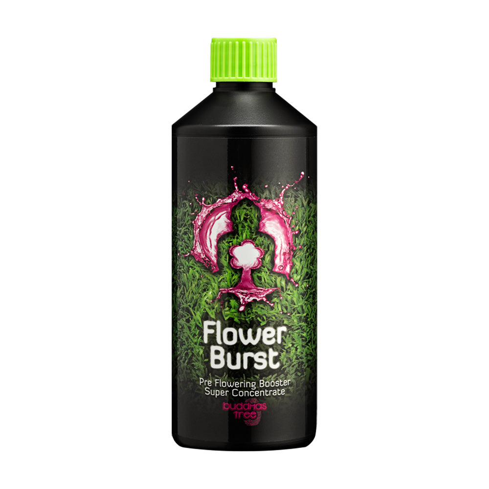 Buddhas Tree Flower Burst — 500ml