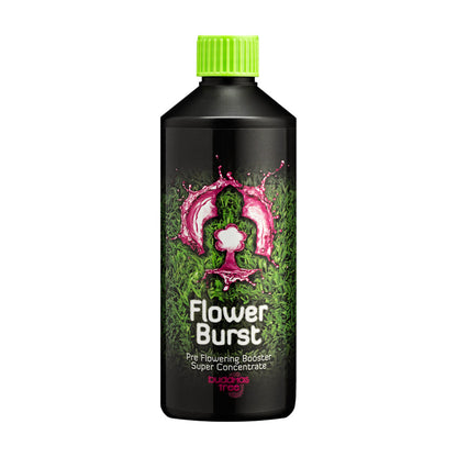 Buddhas Tree Flower Burst — 500ml