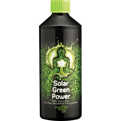 Buddhas Tree Solar Green Power — 500ml