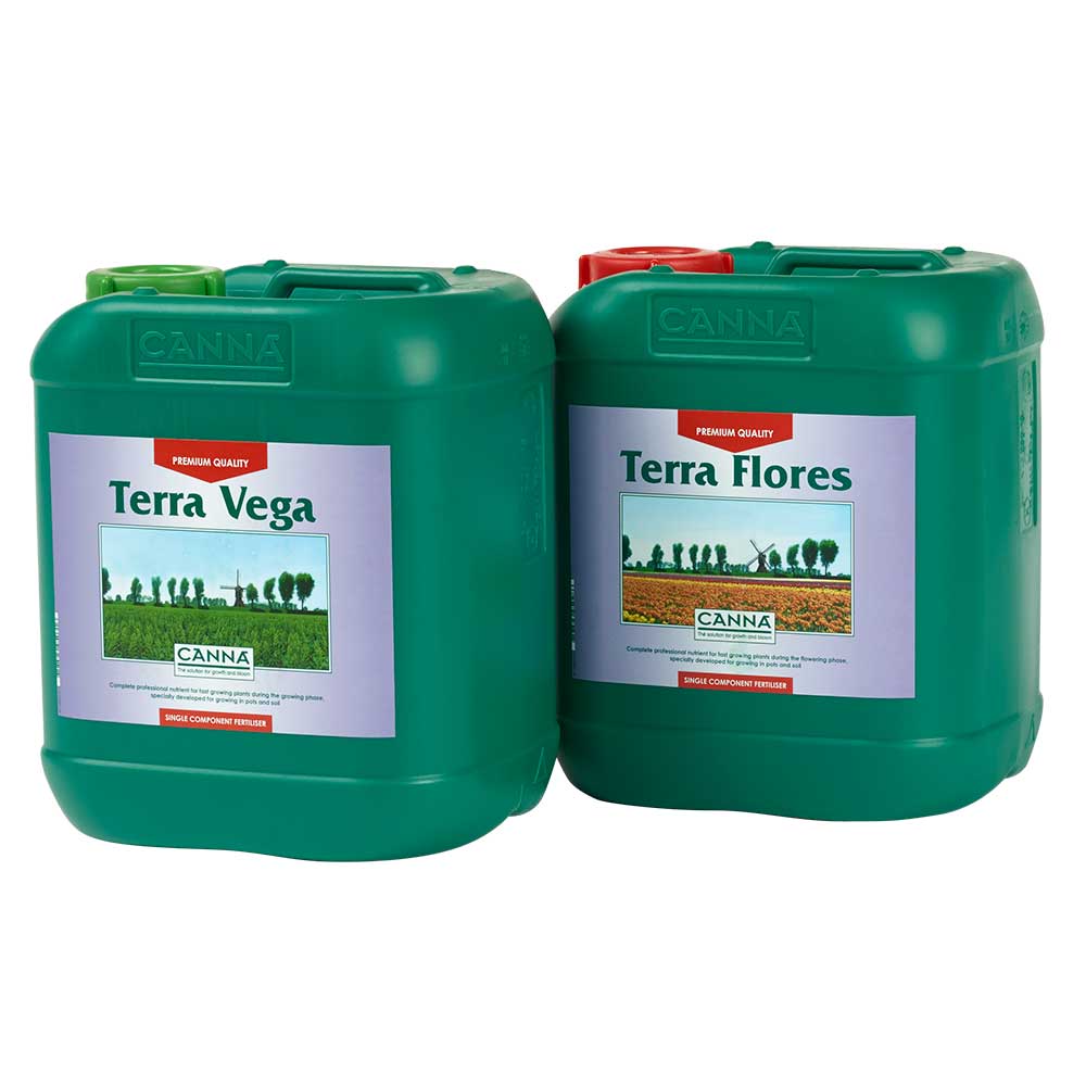 Canna Terra Vega & Flores
